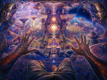 Load image into Gallery viewer, Visions POV — Sanctum
